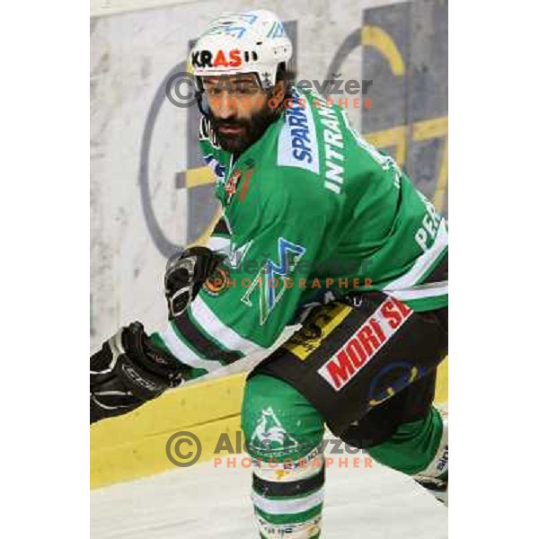 Intranuovo at sixth game of the Final of EBEL league between ZM Olimpija and Red Bulls Salzburg, played in Ljubljana 25.3.2008. Photo by Ales Fevzer 