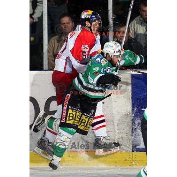 Trattnig (51) and Mitchell (2) and at sixth game of the Final of EBEL league between ZM Olimpija and Red Bulls Salzburg, played in Ljubljana 25.3.2008. Red Bulls Salzburg won the game 3:2 and series 4:2 and became Champions of EBEL league. Photo by Ales 
