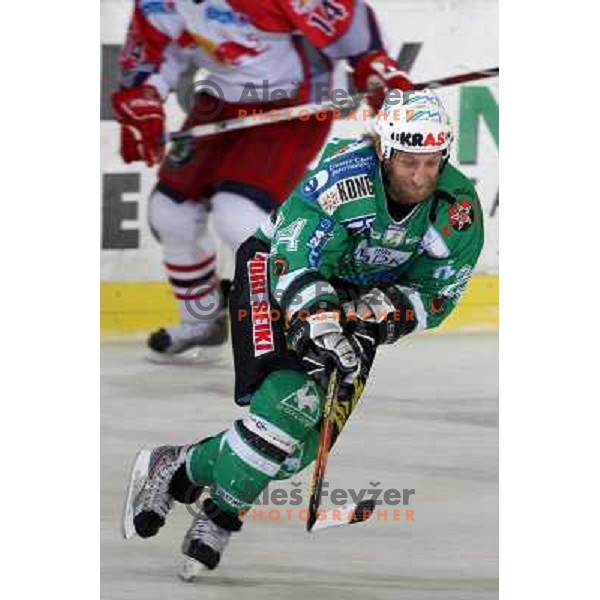 Tomaz Vnuk at sixth game of the Final of EBEL league between ZM Olimpija and Red Bulls Salzburg, played in Ljubljana 25.3.2008. Red Bulls Salzburg won the game 3:2 and series 4:2 and became Champions of EBEL league. Photo by Ales Fevzer 