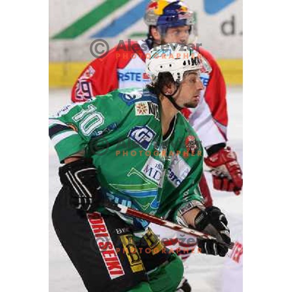 Brendan Yarema at sixth game of the Final of EBEL league between ZM Olimpija and Red Bulls Salzburg, played in Ljubljana 25.3.2008. Red Bulls Salzburg won the game 3:2 and series 4:2 and became Champions of EBEL league. Photo by Ales Fevzer 