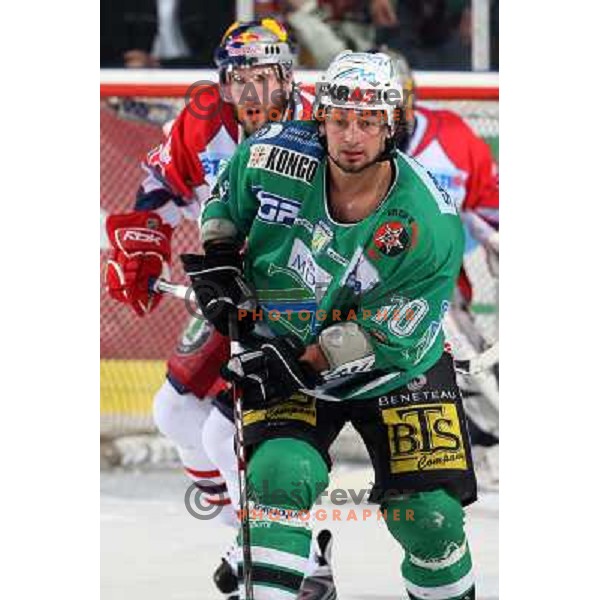Yarema at sixth game of the Final of EBEL league between ZM Olimpija and Red Bulls Salzburg, played in Ljubljana 25.3.2008. Red Bulls Salzburg won the game 3:2 and series 4:2 and became Champions of EBEL league. Photo by Ales Fevzer 
