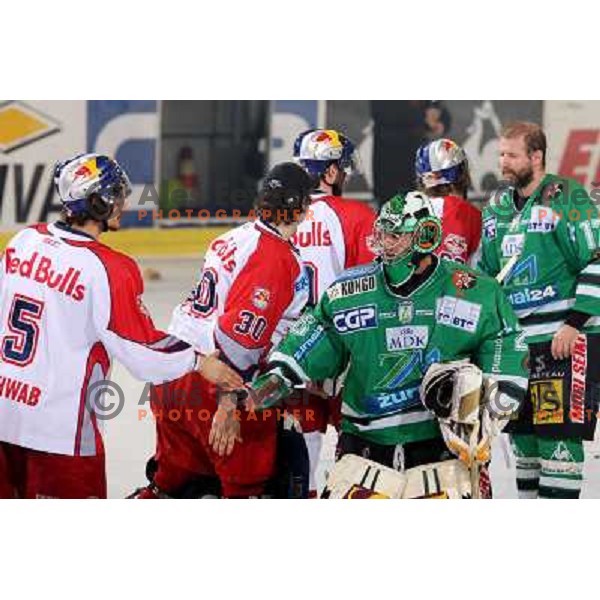 ZM Olimpija players Mohoric and Zupancic shake hands with RBS players after sixth game of the Final of EBEL league between ZM Olimpija and Red Bulls Salzburg, played in Ljubljana 25.3.2008. Red Bulls Salzburg won the game 3:2 and series 4:2 and became Cha