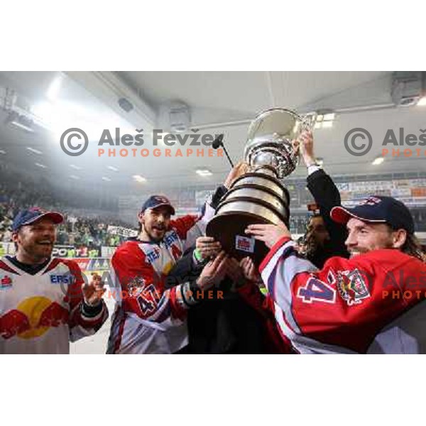 Red Bulls Salzburg players celebrate victory in sixth game of the Final of EBEL league between ZM Olimpija and Red Bulls Salzburg, played in Ljubljana 25.3.2008. Red Bulls Salzburg won the game 3:2 and series 4:2 and became Champions of EBEL league. Photo