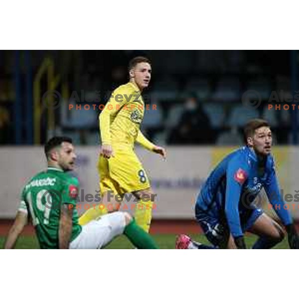 Tamar Svetlin scores and celebrates goal during Prva Liga Telekom Slovenije 2020-2021 football match between Domzale and Olimpija in Domzale, Slovenia on November 29, 2020