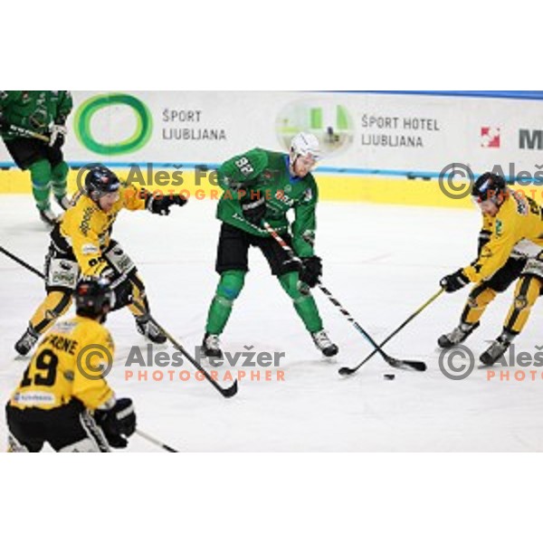 Miha Zajc of SZ Olimpija in action during Alps League ice-hockey match between SZ Olimpija and Pustertal in Ljubljana, Slovenia on December 1, 2020