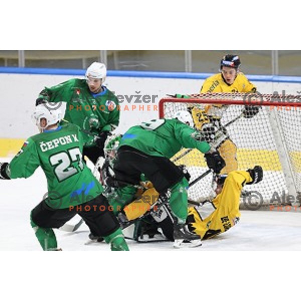 of SZ Olimpija in action during Alps League ice-hockey match between SZ Olimpija and Pustertal in Ljubljana, Slovenia on December 1, 2020