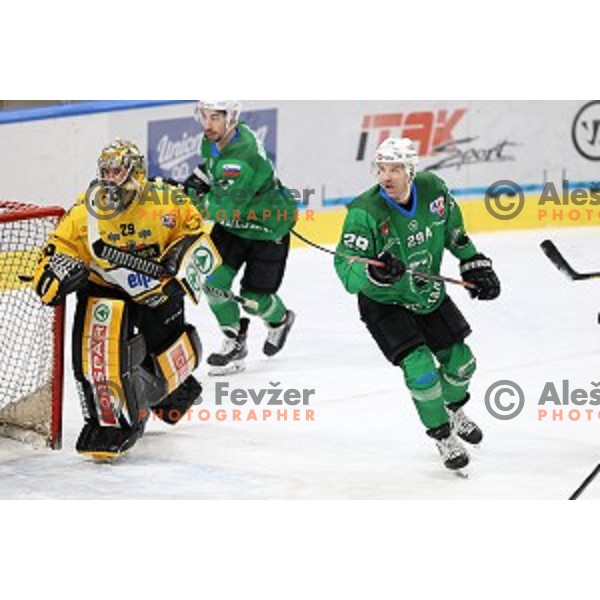Colin Keith Furlong and Anze Ropret of SZ Olimpija in action during Alps League ice-hockey match between SZ Olimpija and Pustertal in Ljubljana, Slovenia on December 1, 2020