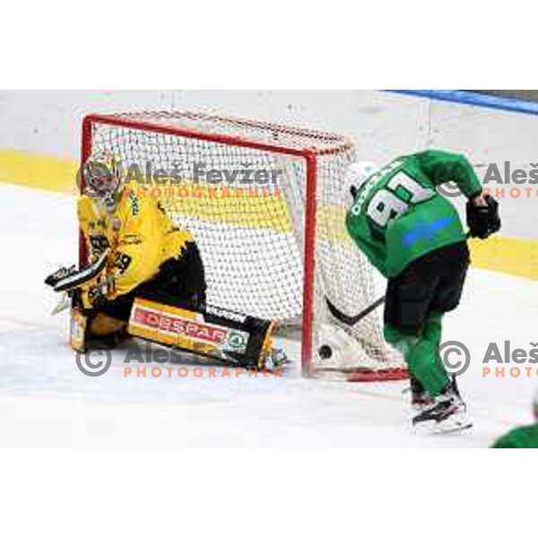 Colin Keith Furlong in action during Alps League ice-hockey match between SZ Olimpija and Pustertal in Ljubljana, Slovenia on December 1, 2020
