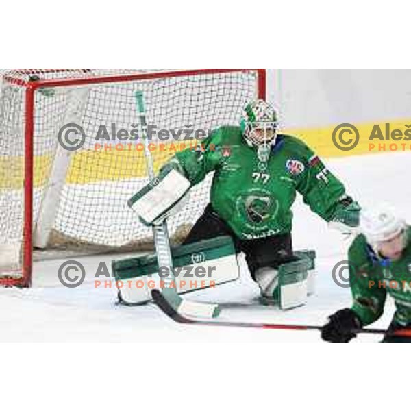 Paavo Holsa of SZ Olimpija in action during Alps League ice-hockey match between SZ Olimpija and Pustertal in Ljubljana, Slovenia on December 1, 2020