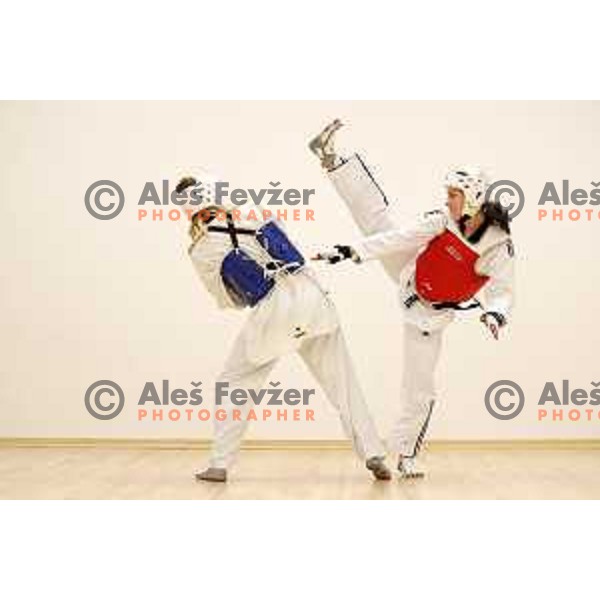 Ana Petrusic, member of Slovenia Taekwondo team during practice session in Ljubljana, Slovenia on November 18, 2020