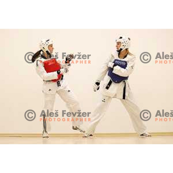 Ana Petrusic, member of Slovenia Taekwondo team during practice session in Ljubljana, Slovenia on November 18, 2020