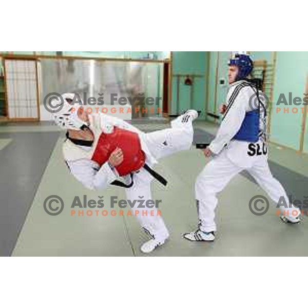 Jure Pantar and Ivan Konrad Trajkovic, member of Slovenia Taekwondo team during practice session in Ljubljana, Slovenia on November 17, 2020