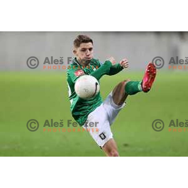 Michael Pavlovic in action during Prva Liga Telekom Slovenië 2020-2021 football match between Olimpija and Tabor in SRC Stozice, Ljubljana, Slovenia on December 12, 2020