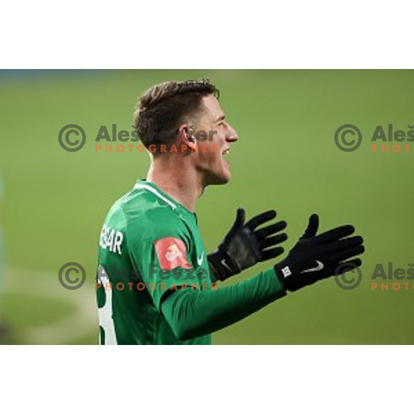 Andres Vombergar of Olimpija celebrates goal during Prva Liga Telekom Slovenije 2020-2021 football match between Olimpija and Gorica in SRC Stozice, Ljubljana, Slovenia on December 19, 2020