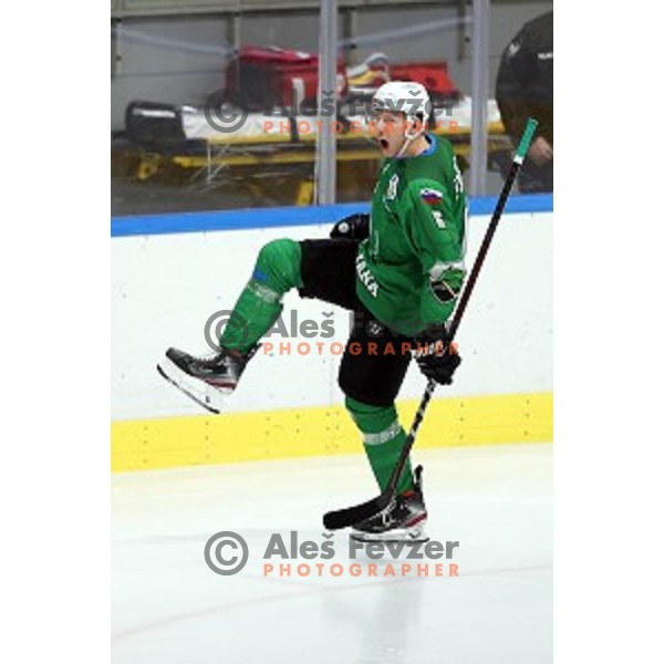 Miha Stebih of SZ Olimpija in action during Alps League ice-hockey match between SZ Olimpija and Rittner Buam in Ljubljana, Slovenia on December 22, 2020