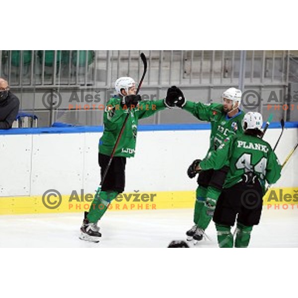 Miha Stebih of SZ Olimpija in action during Alps League ice-hockey match between SZ Olimpija and Rittner Buam in Ljubljana, Slovenia on December 22, 2020