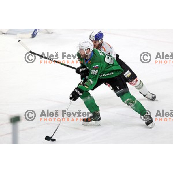 Miha Zajc of SZ Olimpija in action during Alps League ice-hockey match between SZ Olimpija and Rittner Buam in Ljubljana, Slovenia on December 22, 2020