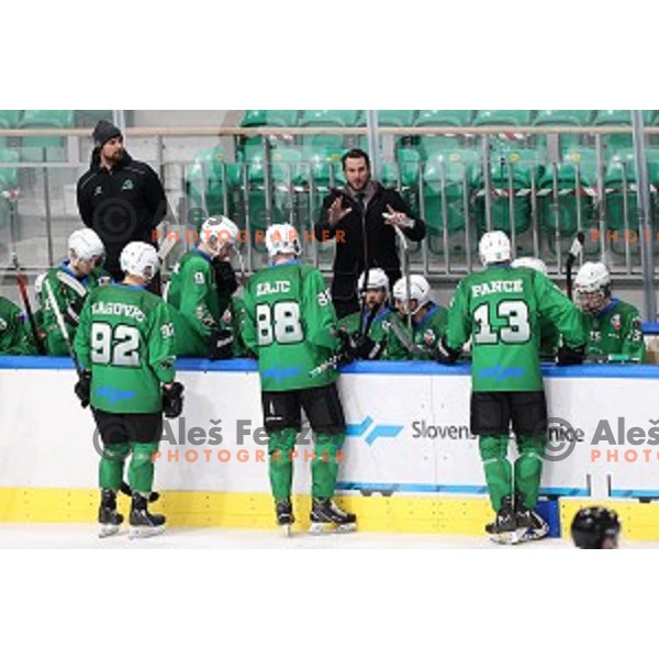 Gregor Poloncic, head coach of SZ Olimpija in action during Alps League ice-hockey match between SZ Olimpija and Rittner Buam in Ljubljana, Slovenia on December 22, 2020