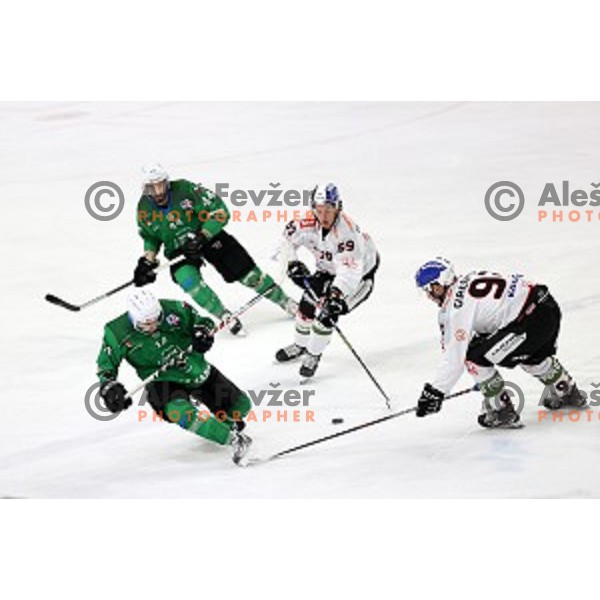 Martin Bohinc of SZ Olimpija in action during Alps League ice-hockey match between SZ Olimpija and Rittner Buam in Ljubljana, Slovenia on December 22, 2020