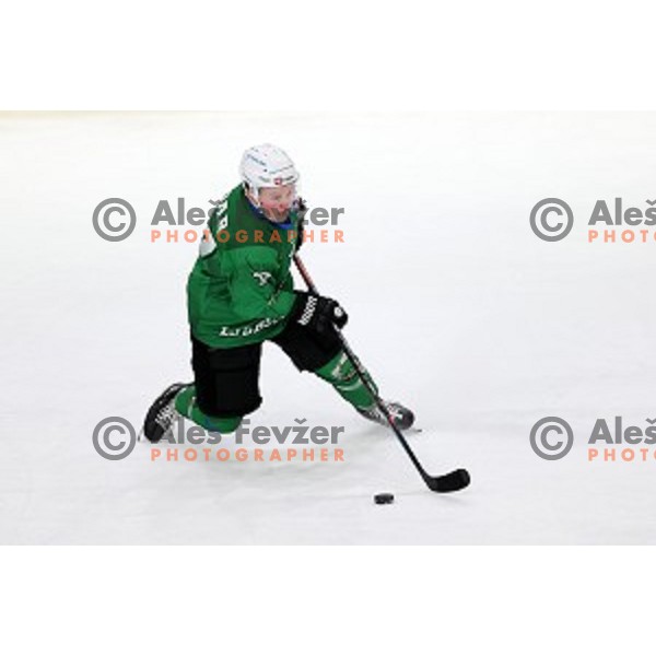 Miha Logar of SZ Olimpija in action during Alps League ice-hockey match between SZ Olimpija and Rittner Buam in Ljubljana, Slovenia on December 22, 2020