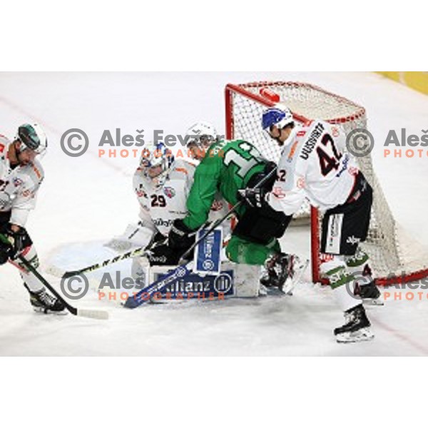Nik Simsic of SZ Olimpija in action during Alps League ice-hockey match between SZ Olimpija and Rittner Buam in Ljubljana, Slovenia on December 22, 2020
