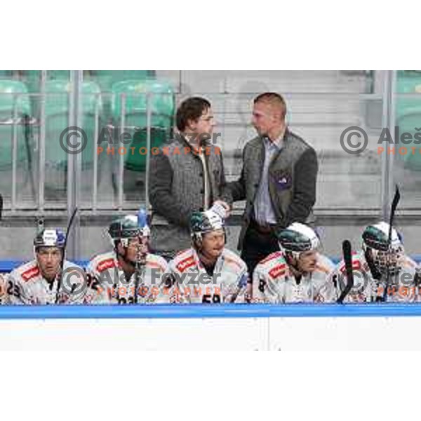 Rok Pajic during Alps League ice-hockey match between SZ Olimpija and Rittner Buam in Ljubljana, Slovenia on December 22, 2020