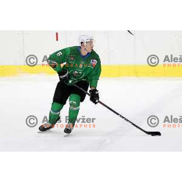 Miha Stebih of SZ Olimpija in action during Alps League ice-hockey match between SZ Olimpija and Rittner Buam in Ljubljana, Slovenia on December 22, 2020