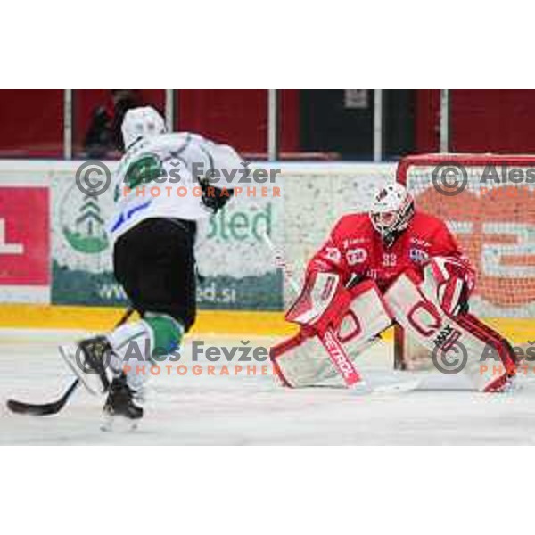 Zan Us in action during Slovenian league ice-hockey match between SIJ Acroni Jesenice and SZ Olimpija in Jesenice, Slovenia on January 2, 2021