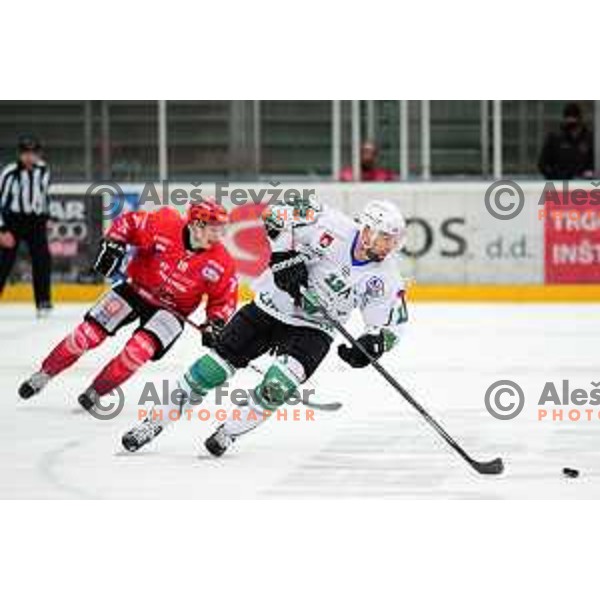 Ziga Pance in action during Slovenian league ice-hockey match between SIJ Acroni Jesenice and SZ Olimpija in Jesenice, Slovenia on January 2, 2021