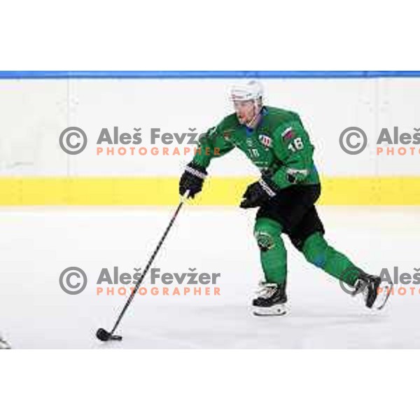 Ales Music of SZ Olimpija in action during Alps League ice-hockey match between SZ Olimpija and Bregenzerwald in Ljubljana, Slovenia on January 9, 2021