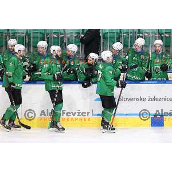 of SZ Olimpija in action during Alps League ice-hockey match between SZ Olimpija and Bregenzerwald in Ljubljana, Slovenia on January 9, 2021