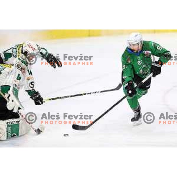 Aleksandar Magovac of SZ Olimpija in action during Alps League ice-hockey match between SZ Olimpija and Bregenzerwald in Ljubljana, Slovenia on January 9, 2021