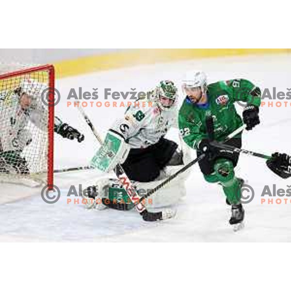 Aleksandar Magovac of SZ Olimpija in action during Alps League ice-hockey match between SZ Olimpija and Bregenzerwald in Ljubljana, Slovenia on January 9, 2021