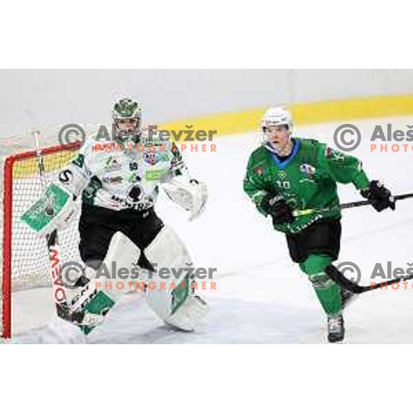 Mark Sever of SZ Olimpija in action during Alps League ice-hockey match between SZ Olimpija and Bregenzerwald in Ljubljana, Slovenia on January 9, 2021