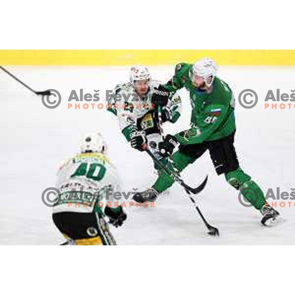 Miha Zajc of SZ Olimpija in action during Alps League ice-hockey match between SZ Olimpija and Bregenzerwald in Ljubljana, Slovenia on January 9, 2021