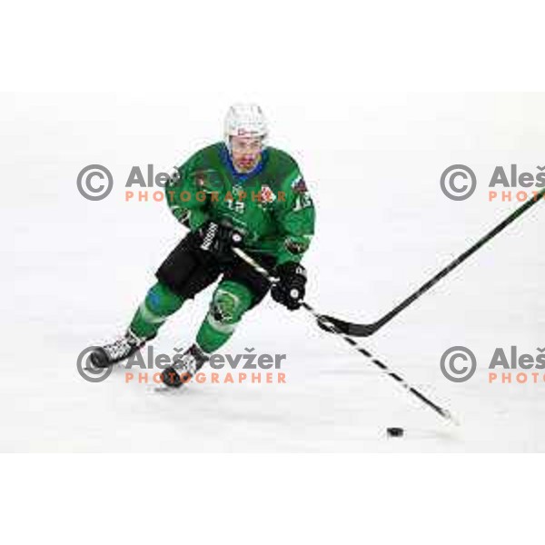 Nik Simsic of SZ Olimpija in action during Alps League ice-hockey match between SZ Olimpija and Bregenzerwald in Ljubljana, Slovenia on January 9, 2021