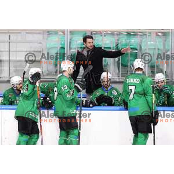 Gregor Poloncic, head coach of SZ Olimpija in action during Alps League ice-hockey match between SZ Olimpija and Bregenzerwald in Ljubljana, Slovenia on January 9, 2021