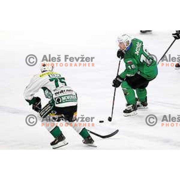 Ales Music of SZ Olimpija in action during Alps League ice-hockey match between SZ Olimpija and Bregenzerwald in Ljubljana, Slovenia on January 9, 2021