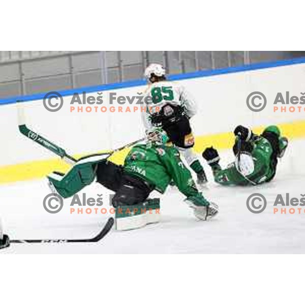 Paavo Holsa of SZ Olimpija in action during Alps League ice-hockey match between SZ Olimpija and Rittner Buam in Ljubljana, Slovenia on December 22, 2020