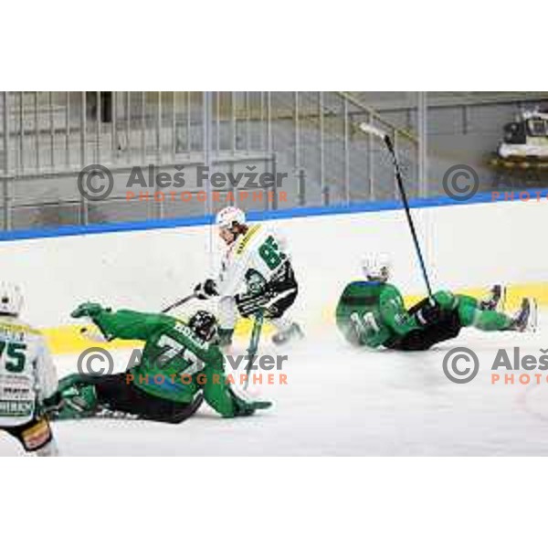 Paavo Holsa of SZ Olimpija in action during Alps League ice-hockey match between SZ Olimpija and Rittner Buam in Ljubljana, Slovenia on December 22, 2020