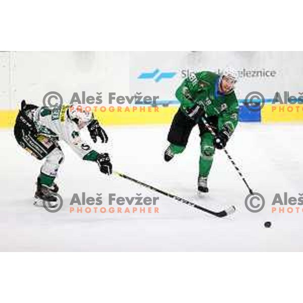 of SZ Olimpija in action during Alps League ice-hockey match between SZ Olimpija and Bregenzerwald in Ljubljana, Slovenia on January 9, 2021