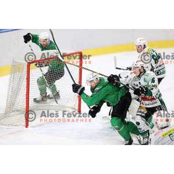 of SZ Olimpija in action during Alps League ice-hockey match between SZ Olimpija and Bregenzerwald in Ljubljana, Slovenia on January 9, 2021