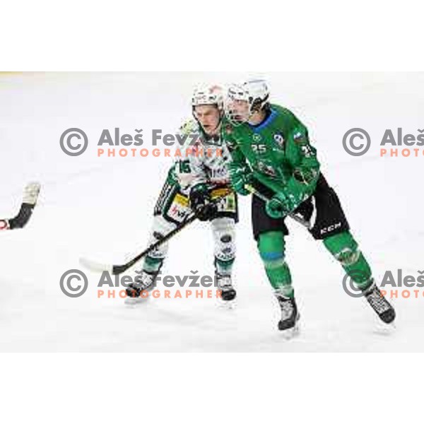 of SZ Olimpija in action during Alps League ice-hockey match between SZ Olimpija and Bregenzerwald in Ljubljana, Slovenia on January 9, 2021