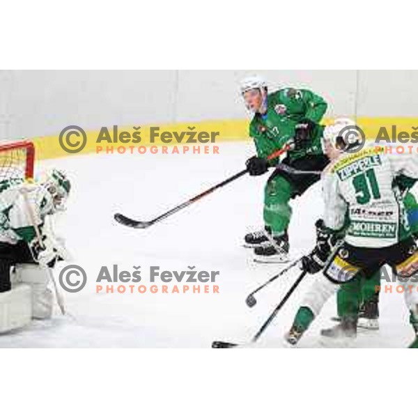 Miha Logar of SZ Olimpija in action during Alps League ice-hockey match between SZ Olimpija and Bregenzerwald in Ljubljana, Slovenia on January 9, 2021