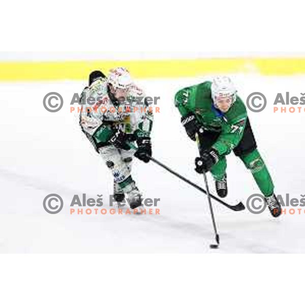 of SZ Olimpija in action during Alps League ice-hockey match between SZ Olimpija and Bregenzerwald in Ljubljana, Slovenia on January 9, 2021