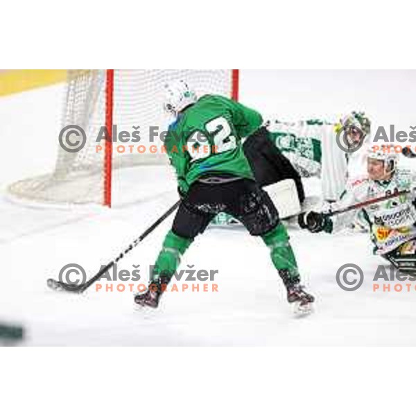 Gregor Zezelj of SZ Olimpija in action during Alps League ice-hockey match between SZ Olimpija and Bregenzerwald in Ljubljana, Slovenia on January 9, 2021