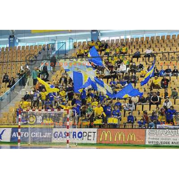 Cimos Koper fans at the Final of the slovenian handball cup for men 2008 Gold Club - Cimos Koper at Zlatorog hall, Celje 