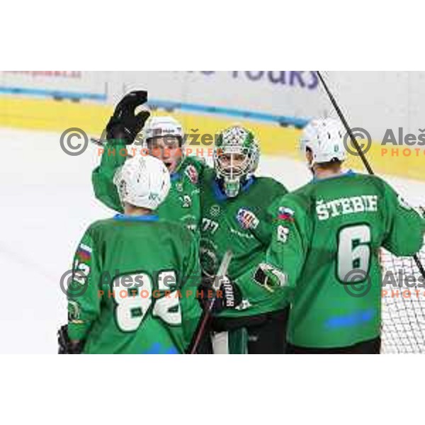 Miha Logar and Paavo Holsa of SZ Olimpija in action during Alps League ice-hockey match between SZ Olimpija and Rittner Buam in Ljubljana, Slovenia on December 22, 2020