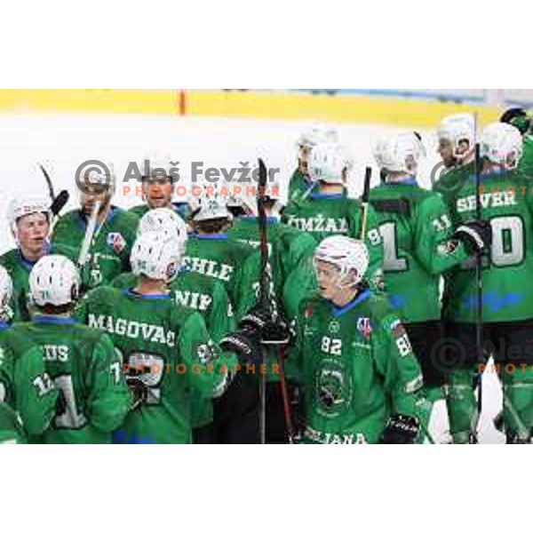 Gregor Zezelj of SZ Olimpija in action during Alps League ice-hockey match between SZ Olimpija and Bregenzerwald in Ljubljana, Slovenia on January 9, 2021