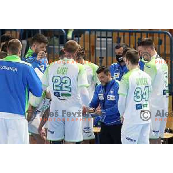 Ljubomir Vranjes during European qualifiers handball match between Slovenia and Netherlands played in Celje, Slovenia on January 10, 2021
